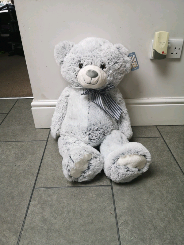 big paws teddy